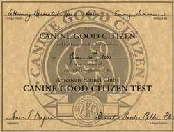Diplom Canine Good Citizen (CGC)